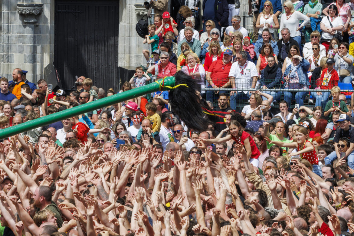 MONS CULTURE DOUDOU CELEBRATIONS