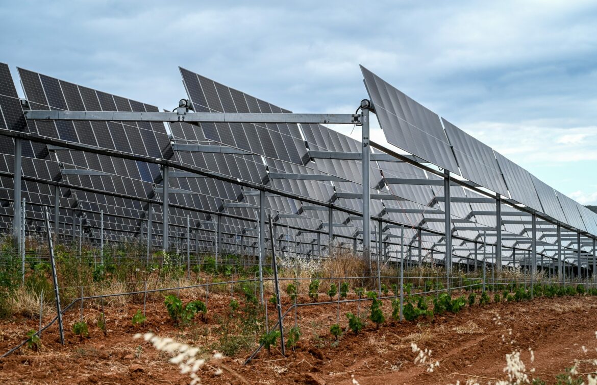 AGRIVOLTAISME