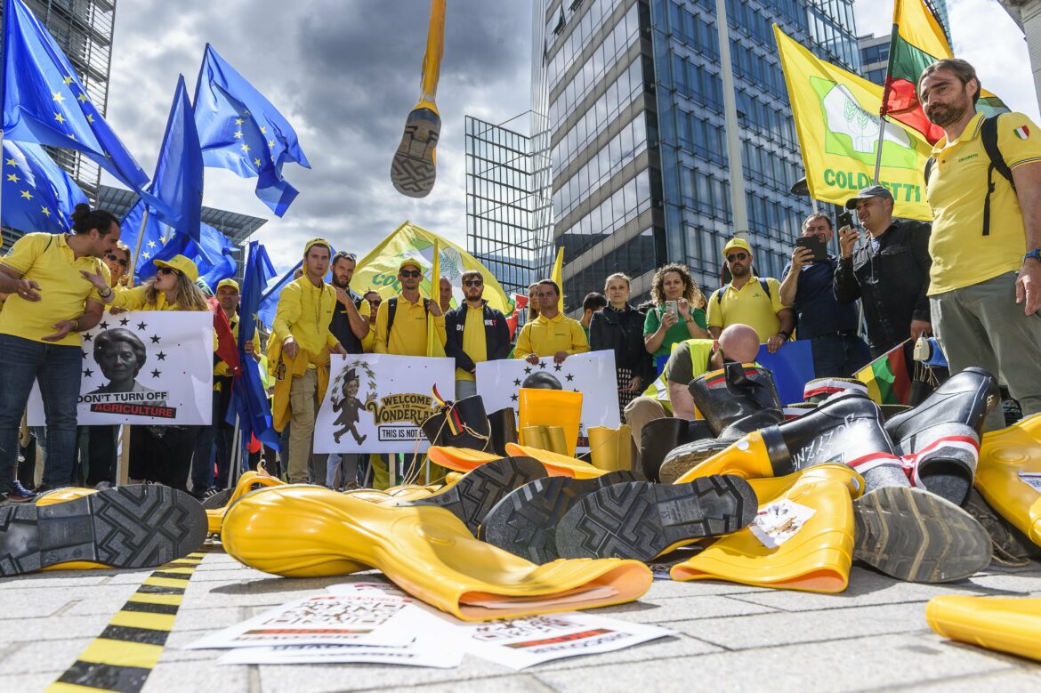 DEMONSTRATION OF EUROPEAN FARMERS | MANIFESTATION DU MONDE AGRICOLE EUROPEEN