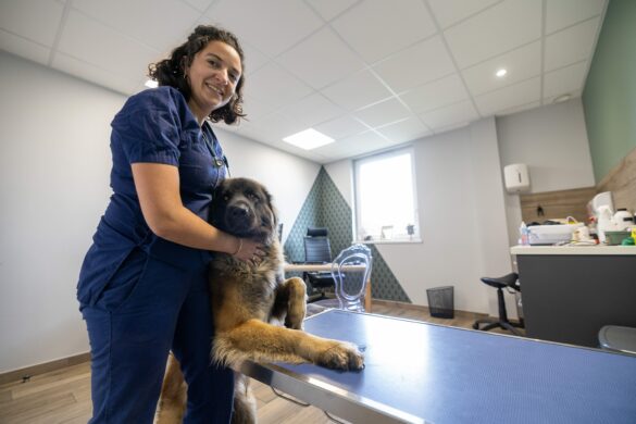 ©PHOTOPQR/VOIX DU NORD/MATTHIEU BOTTE