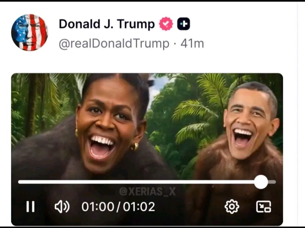 Trump vise les Obama avec une vid&eacute;o raciste