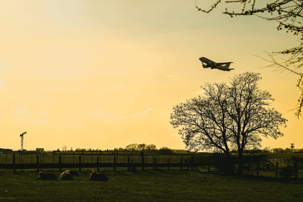 Brussels Airport &eacute;largit son horizon : 180 destinations et un retour strat&eacute;gique vers l&rsquo;Am&eacute;rique du Sud