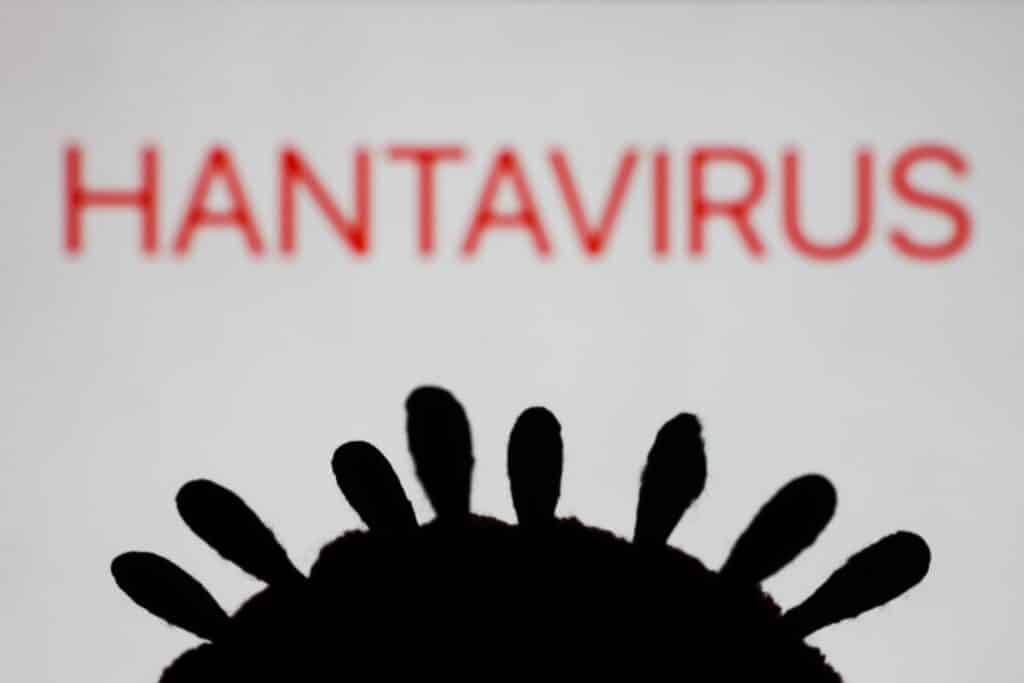 Hantavirus : faut-il craindre une nouvelle pand&eacute;mie apr&egrave;s l&rsquo;alerte du MV Hondius ?
