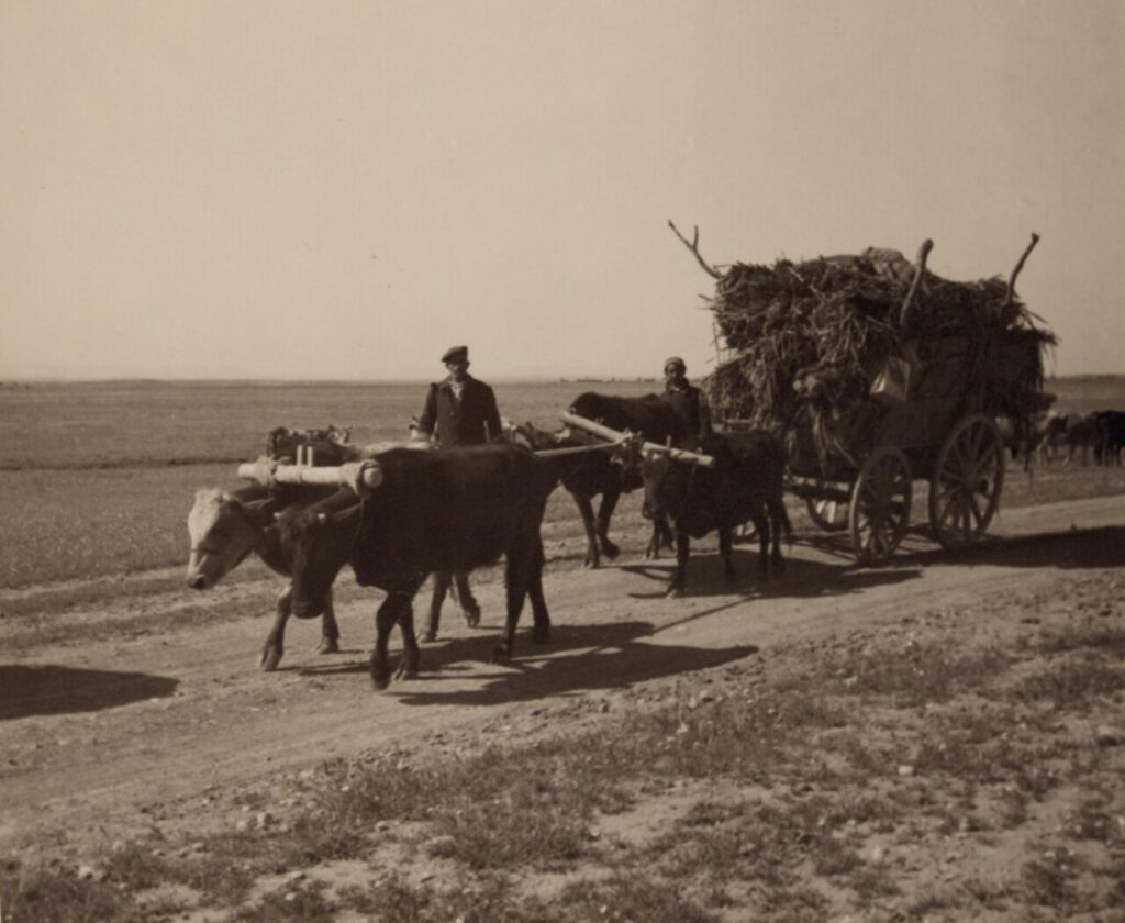 Culture exposition &laquo; Sayfo 1915 &raquo;