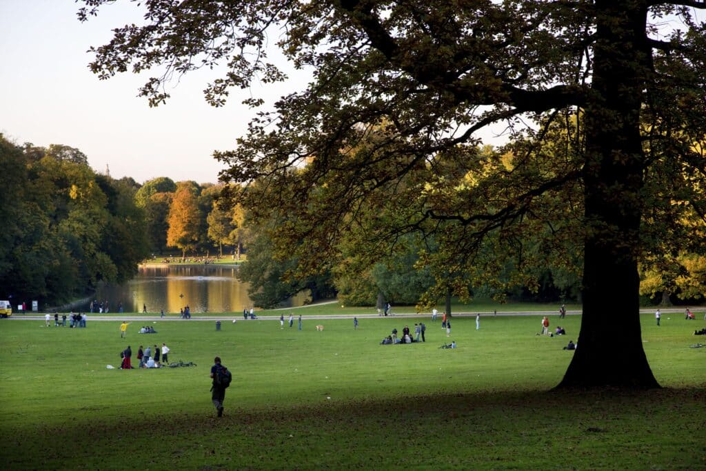 La Ville de Bruxelles renforce l&rsquo;entretien du Bois de la Cambre pour l&rsquo;&eacute;t&eacute;