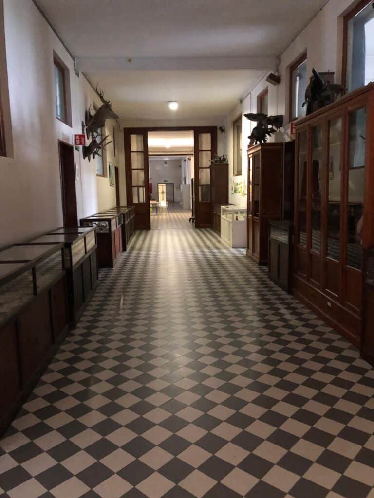 Examens annul&eacute;s, laser game obligatoire : la pol&eacute;mique qui secoue le coll&egrave;ge Saint-Michel