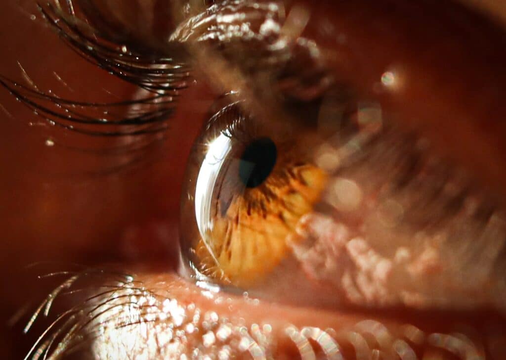 A close up view of a person's eye