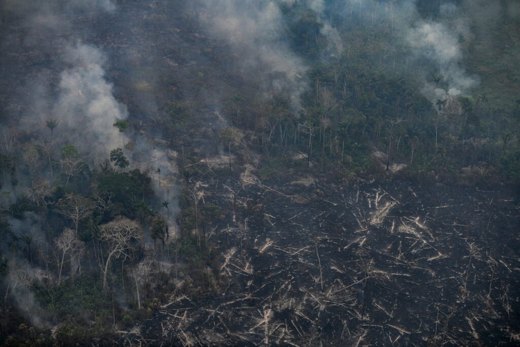 Amazonie : les surfaces ravag&eacute;es par le feu au plus bas depuis quarante ans