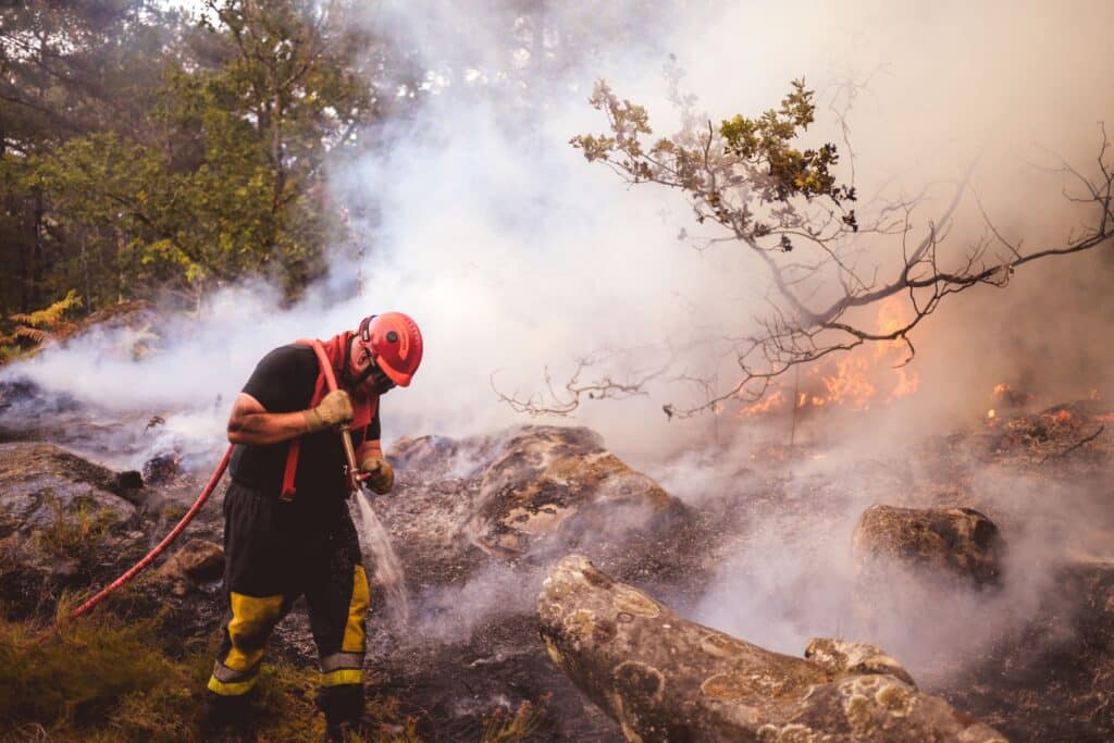 Feux de for&ecirc;t : neuf d&eacute;parts sur dix sont d&rsquo;origine humaine
