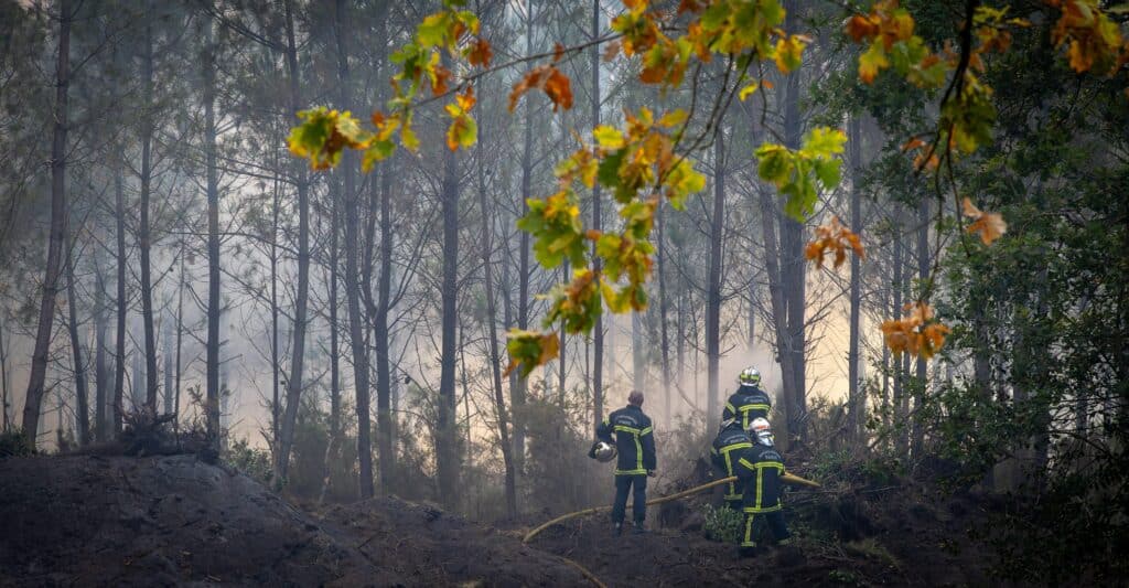 Incendies : l&eacute;ger r&eacute;pit en France et en Espagne, mais la Gr&egrave;ce reste sous la menace