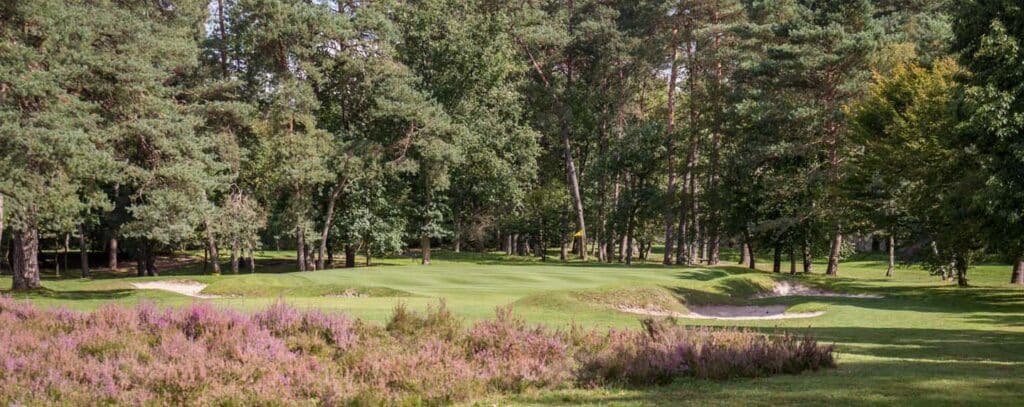 Incendie de Fontainebleau : le c&eacute;l&egrave;bre parcours de golf &eacute;chappe &agrave; la catastrophe