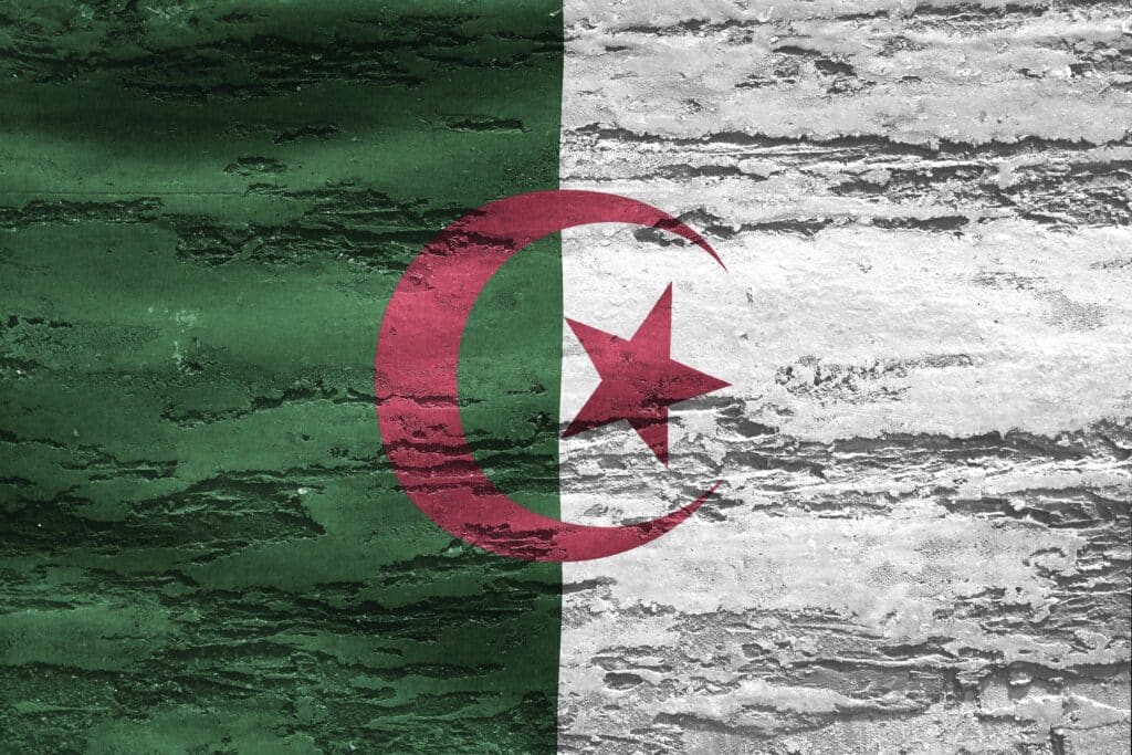 Expulsions : quand l&rsquo;Alg&eacute;rie laisse &agrave; la France la charge de ses ressortissants ind&eacute;sirables