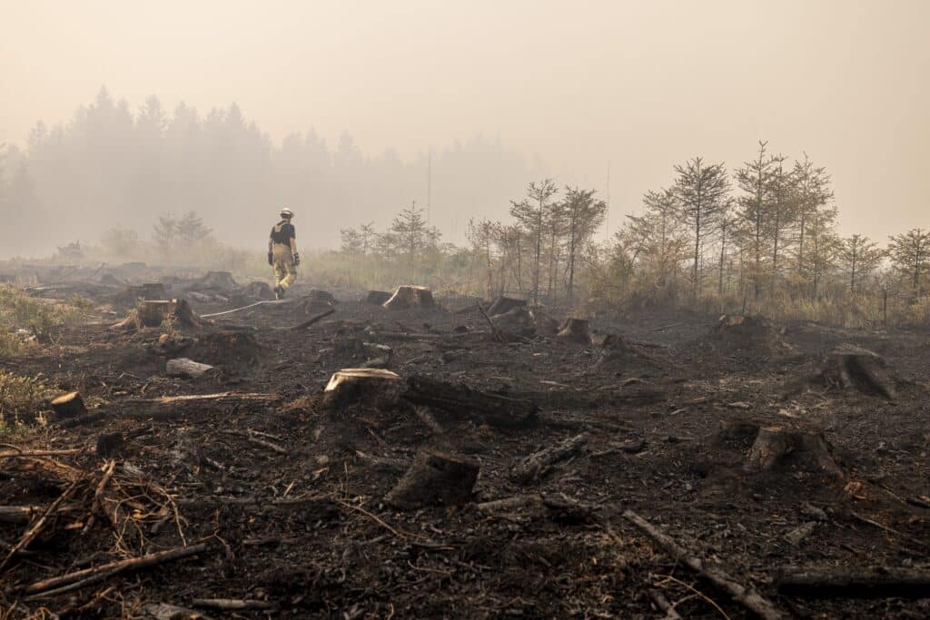 Incendie dans les Fagnes : apr&egrave;s 3.000 hectares br&ucirc;l&eacute;s, la pluie offre enfin un r&eacute;pit