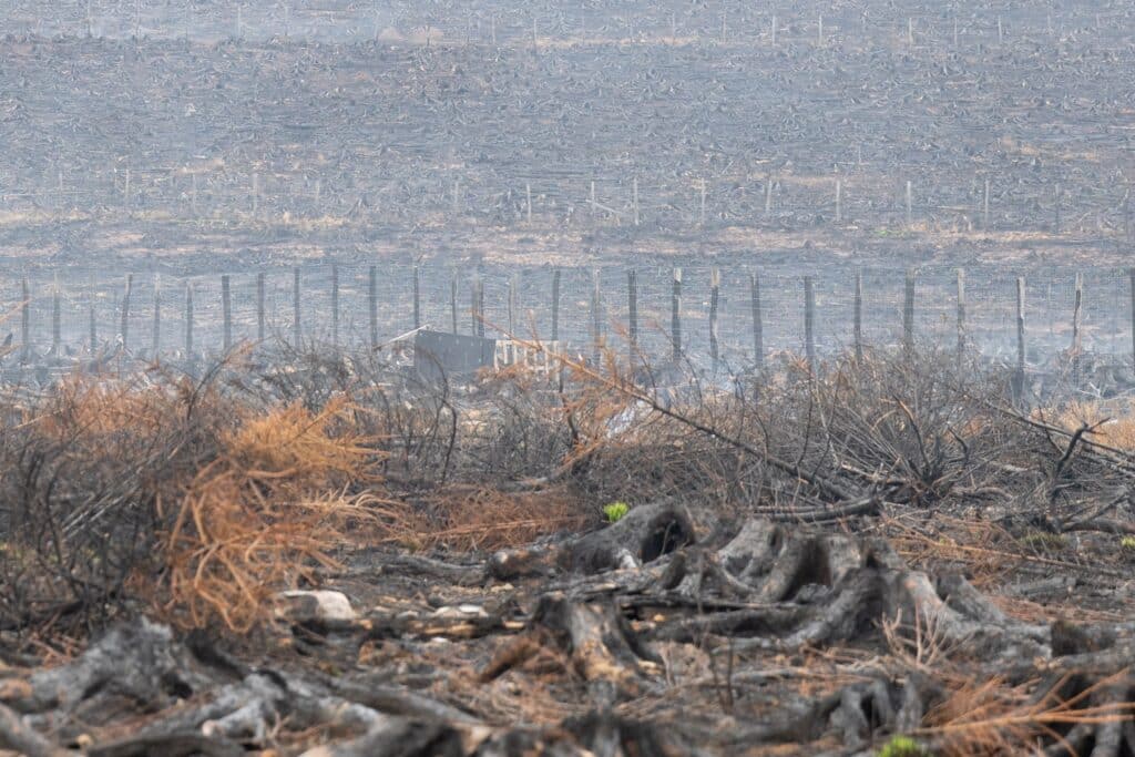 Des travaux de fauchage r&eacute;alis&eacute;s &agrave; l&rsquo;aide d&rsquo;une machine agricole &agrave; l&rsquo;origine de l'incendie des Fagnes ?