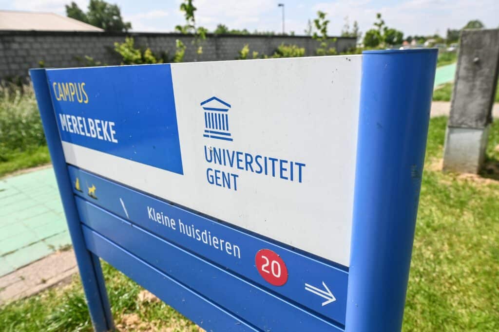 Gand accueillera le plus grand congr&egrave;s europ&eacute;en d&rsquo;arch&eacute;ologie en 2029