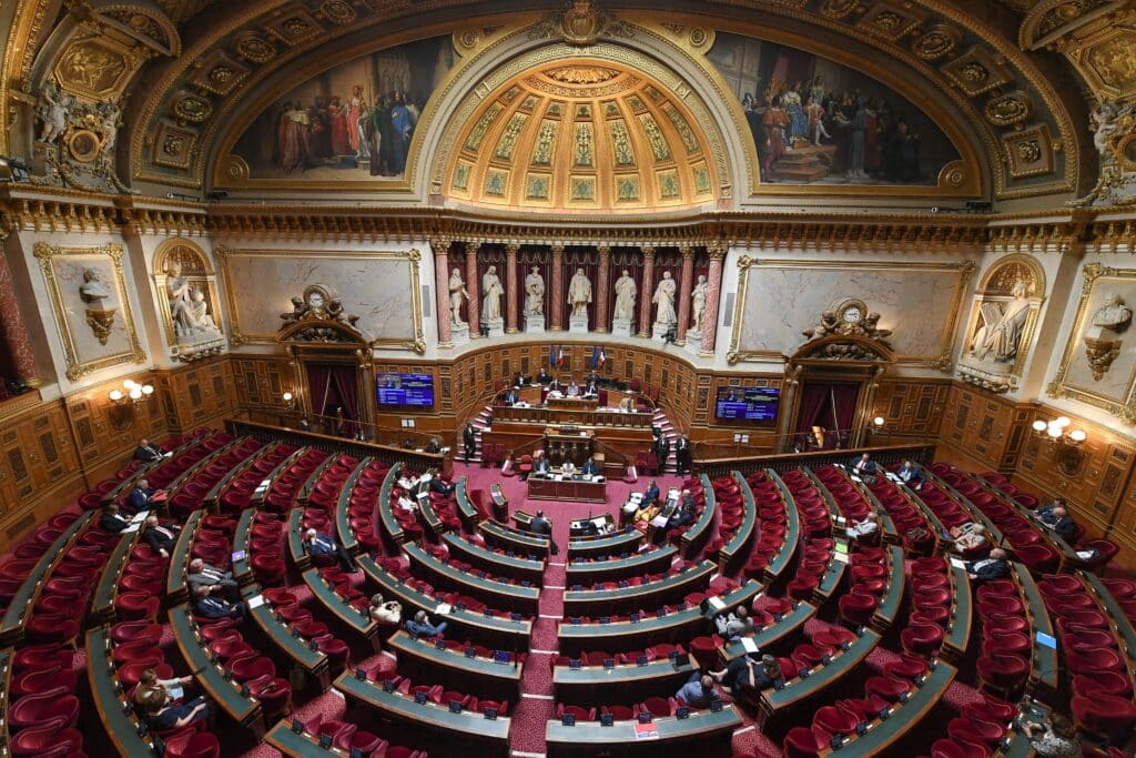 Allocations saisies, drones, peines alourdies : le plan du S&eacute;nat pour en finir avec les casseurs