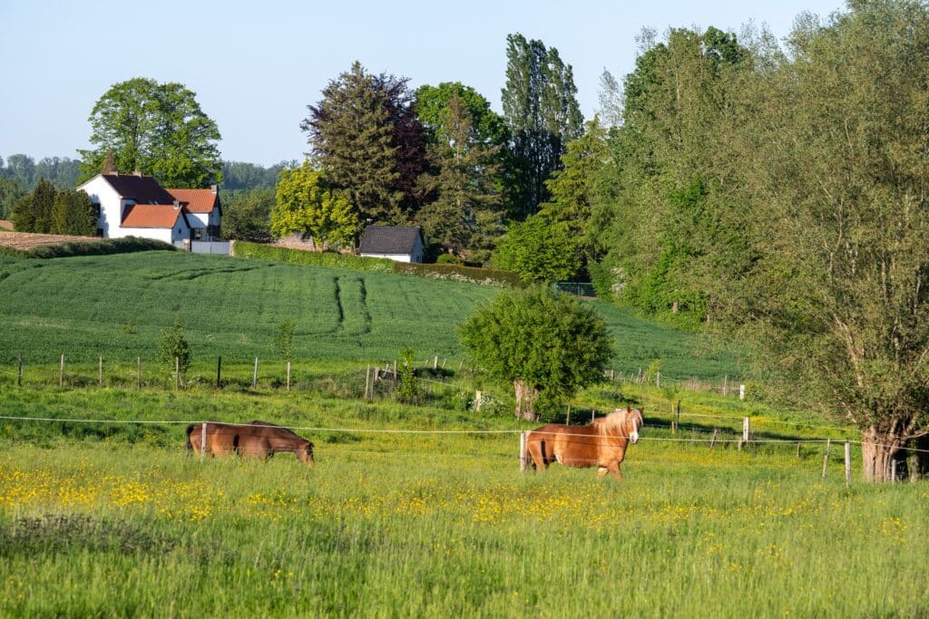 Avenir des jeunes : le pessimisme wallon d&eacute;passe largement celui des Flamands.