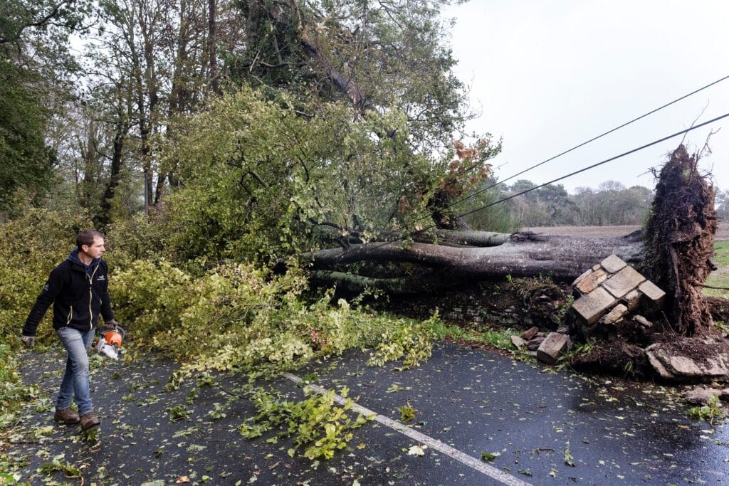 Storm Austen trekt over Belgi&euml;: wat wordt vergoed bij stormschade?