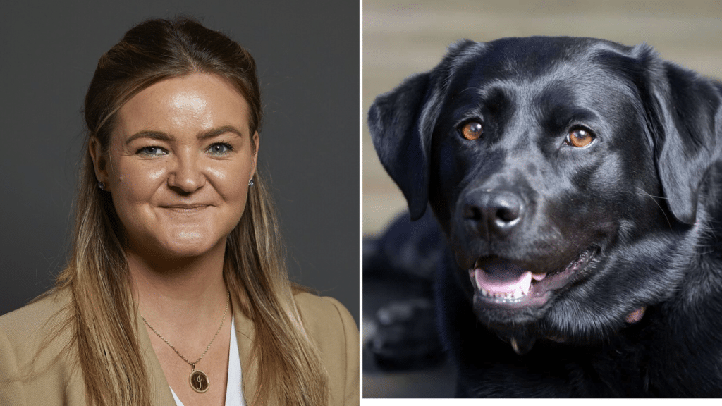Le labrador noir, un embl&egrave;me d&rsquo;une Angleterre &laquo; d&rsquo;extr&ecirc;me droite &raquo; ? Une ministre travailliste d&eacute;clenche les moqueries
